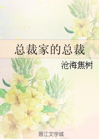 (魔幻手机同人)总裁家的总裁