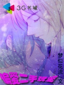 偏爱二手玩宠