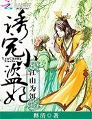 《江山为饵:诱宠小盗妃》