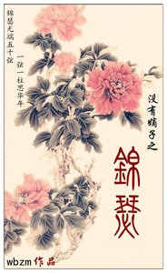 (清穿同人)没有嫡子之锦瑟