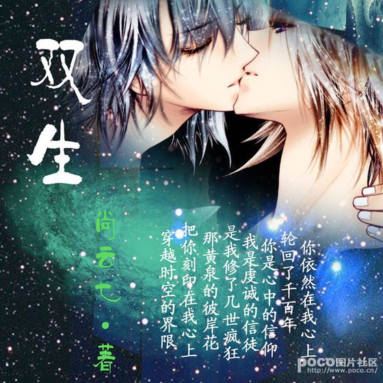雙生(兩男人在女尊世界的崩潰生活)