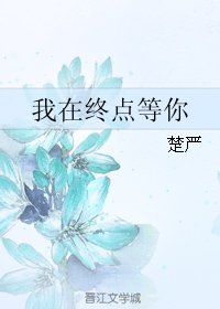 我在终点等你