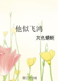 他似飞鸿