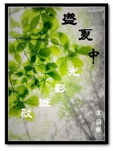盛夏中光影斑驳