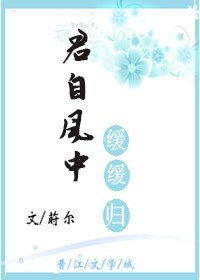君自风中缓缓归