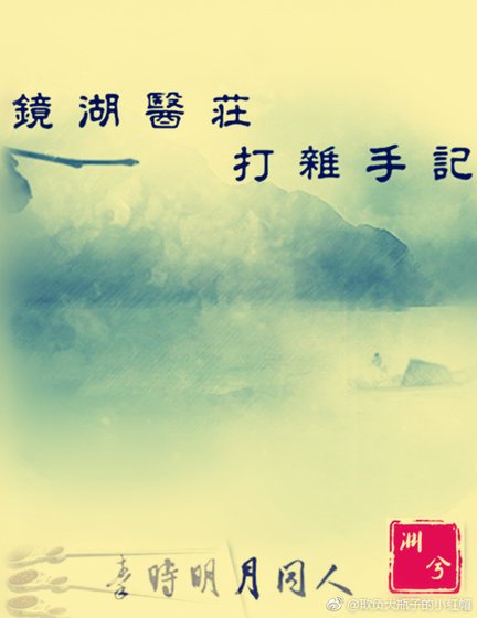 镜湖医庄打杂手记