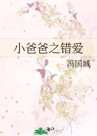 小爸爸之错爱