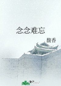 念念难忘