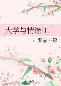 《大学与情缘II》