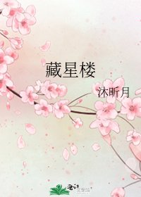 《藏星楼》