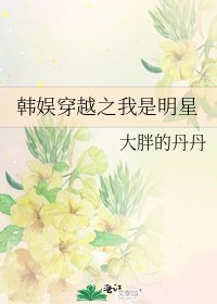 韩娱穿越之我是明星