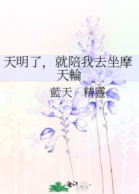 天明瞭,就陪我去坐摩天輪