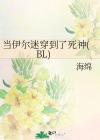 當伊爾迷穿到了死神(BL)