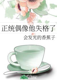 正统偶像他失格了