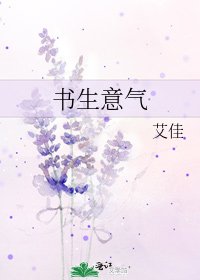 書生意氣