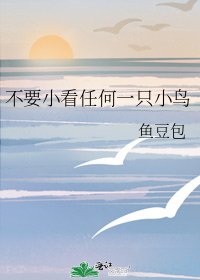 《不要小看任何一只小鸟》