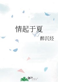 《情起于夏》