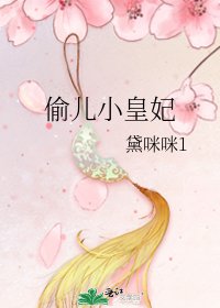 偷儿小皇妃