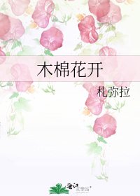 木棉花开