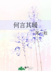 《何言其暖》