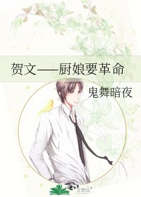 贺文——厨娘要革命