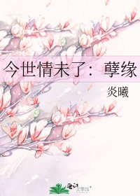 今世情未了:孽缘