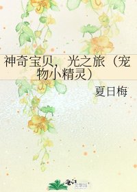 《神奇宝贝,光之旅(宠物小精灵)》