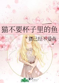 《猫不要杯子里的鱼》