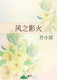 《风之影火》