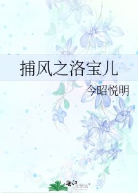 《捕风之洛宝儿》