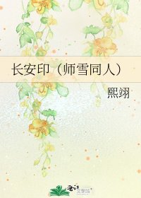 《长安印(师雪同人)》