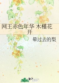 《网王赤色年华 木槿花开》