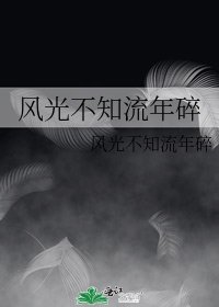 《风光不知流年碎》