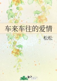 车来车往的爱情