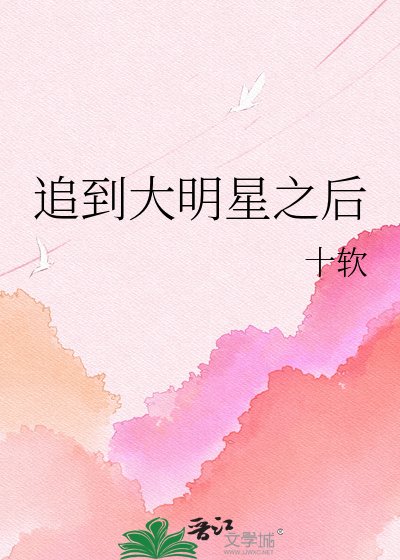 《追到大明星之后》