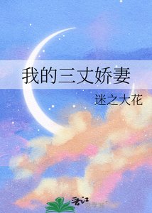 《我的三丈娇妻》
