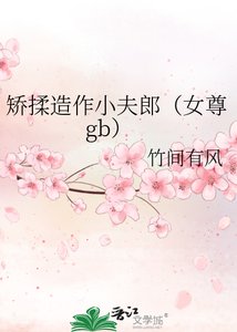 矫揉造作小夫郎(女尊gb)
