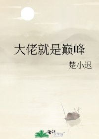 《大佬就是巅峰》