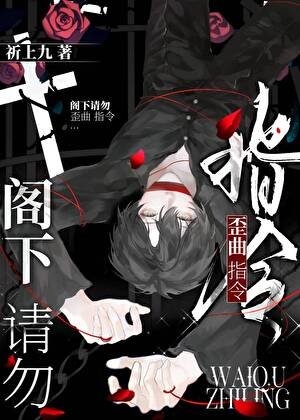 阁下请勿歪曲指令［无限］