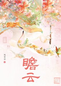 瞻云