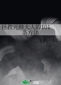拯救元帥大人的101條方法