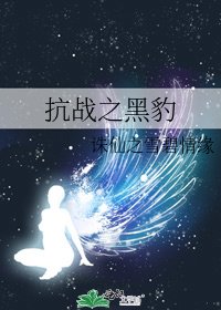 《抗战之黑豹》