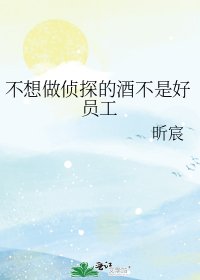 (柯南同人)不想做偵探的酒不是好員工