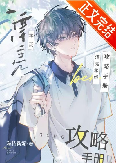 漂亮笨蛋攻略手冊