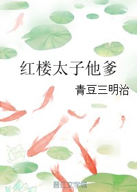 《(BG/红楼同人)红楼太子他爹》