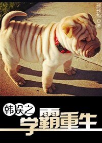 (BG/韩娱同人)韩娱之学霸重生
